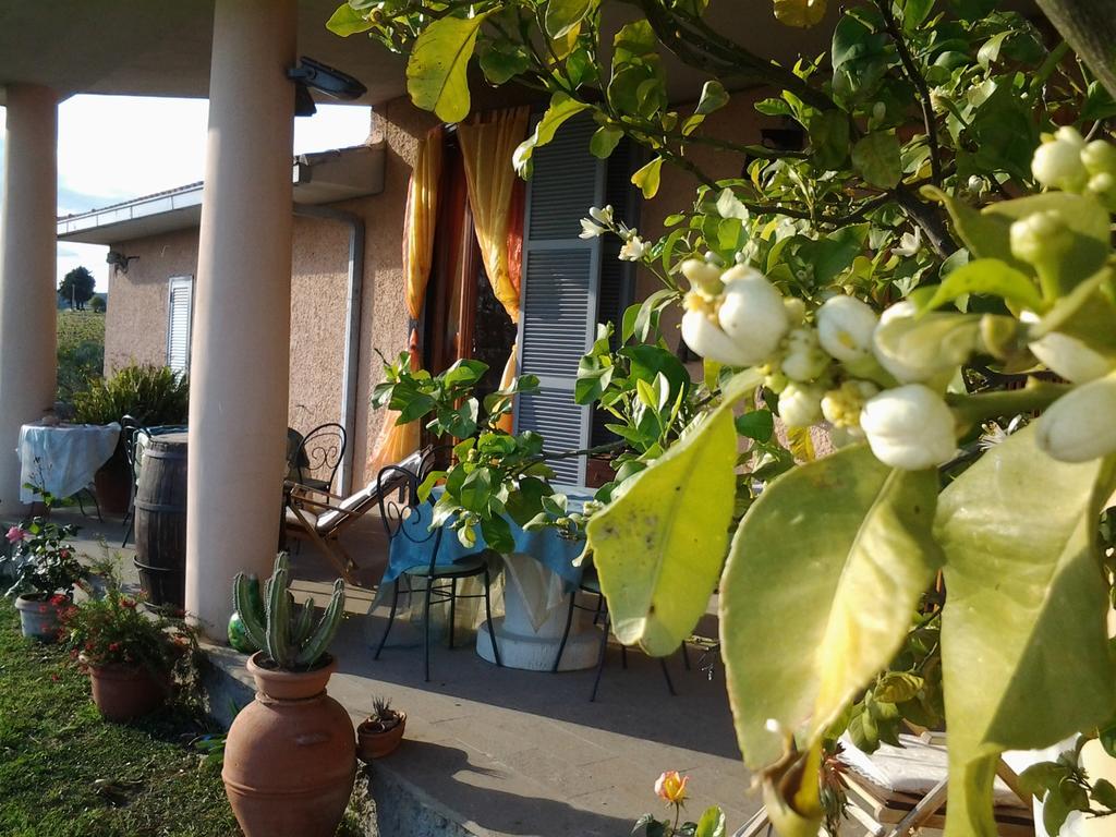Guest House Villa Di Judighes تشيرفيتيري المظهر الخارجي الصورة