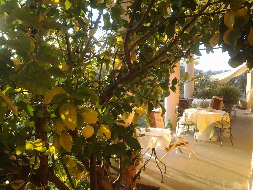 Guest House Villa Di Judighes تشيرفيتيري المظهر الخارجي الصورة